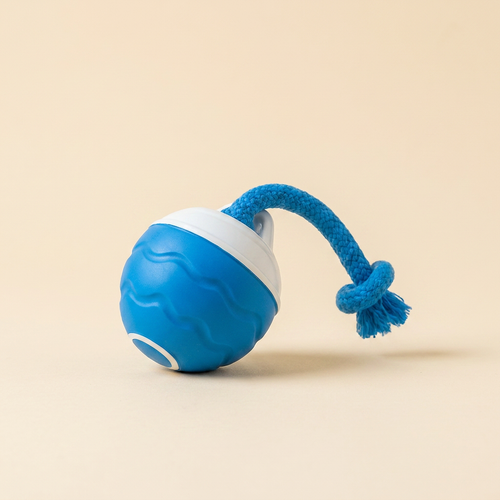 HappyPaw™ — Balle interactive pour chien