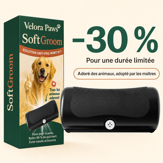 Velora SoftGroom, brosse anti-poil mort, offre -30 %