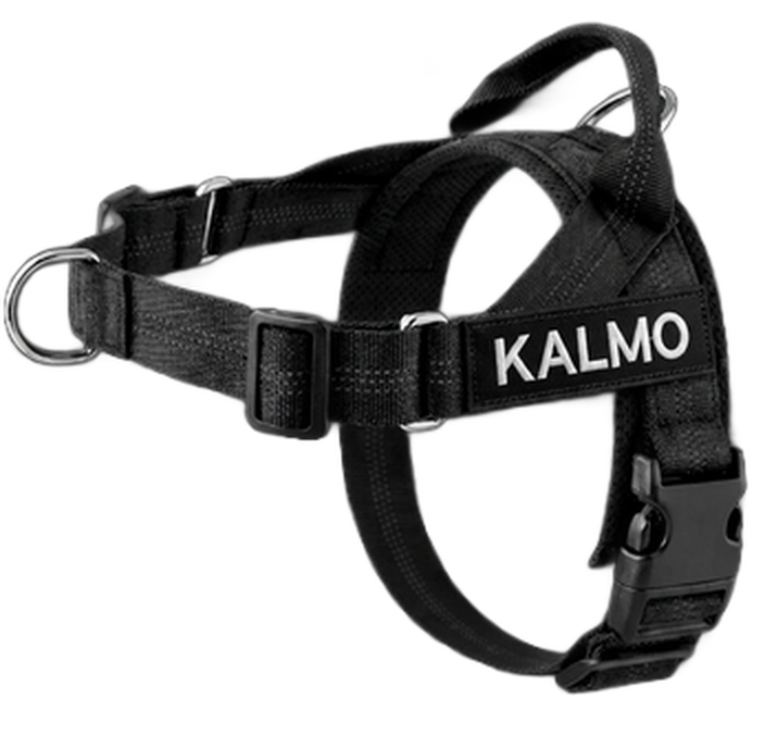 Kalmo