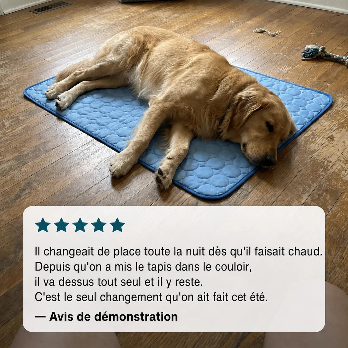 Velora CoolMat Cooling Mat