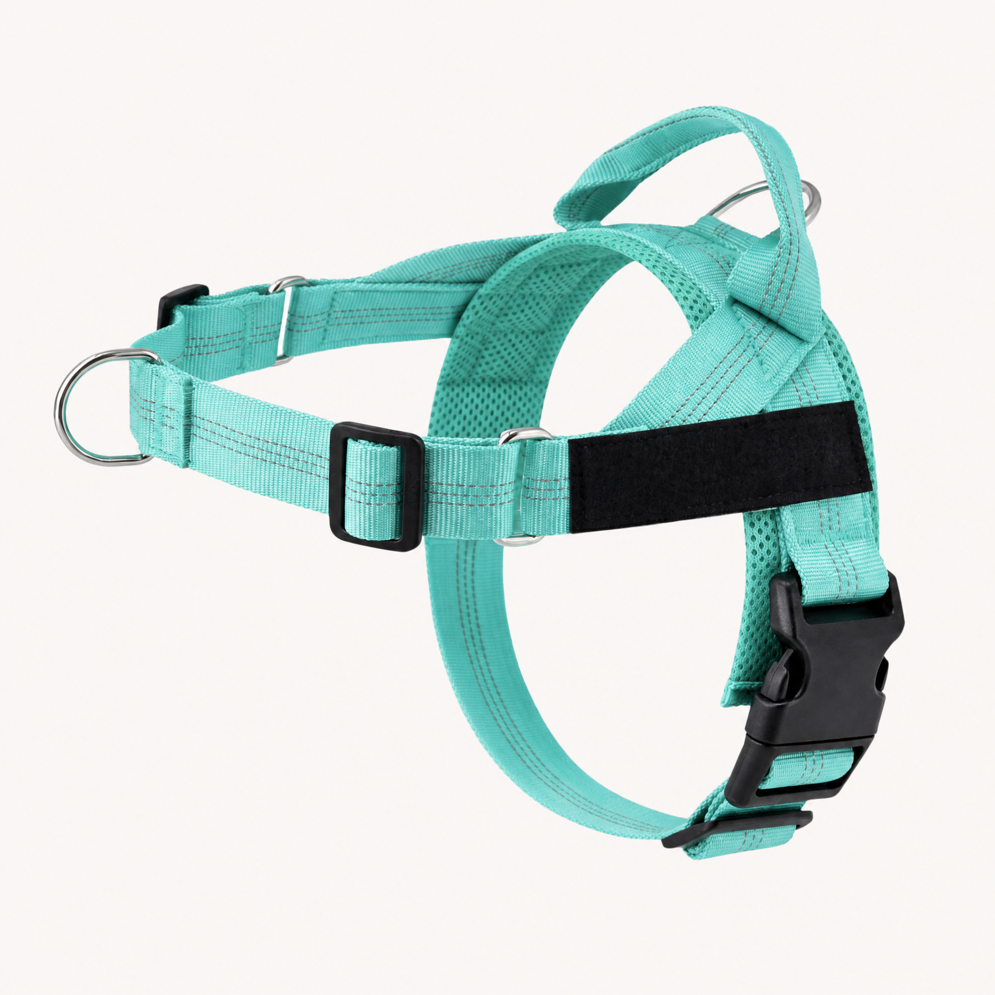 Turquoise Green Harness