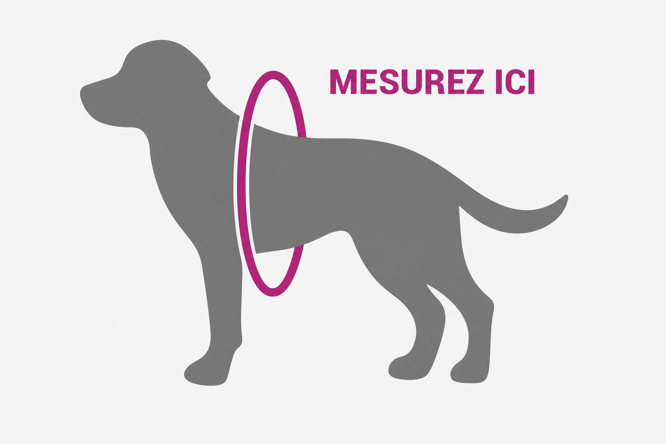 Mesurez le tour de poitrail de votre chien juste derrière les pattes avant